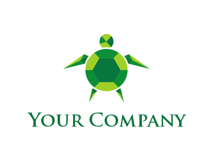 gems and jewels placed in the shape of a turtle