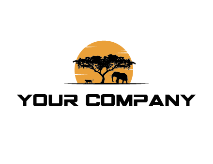 sun behind elephants and tree